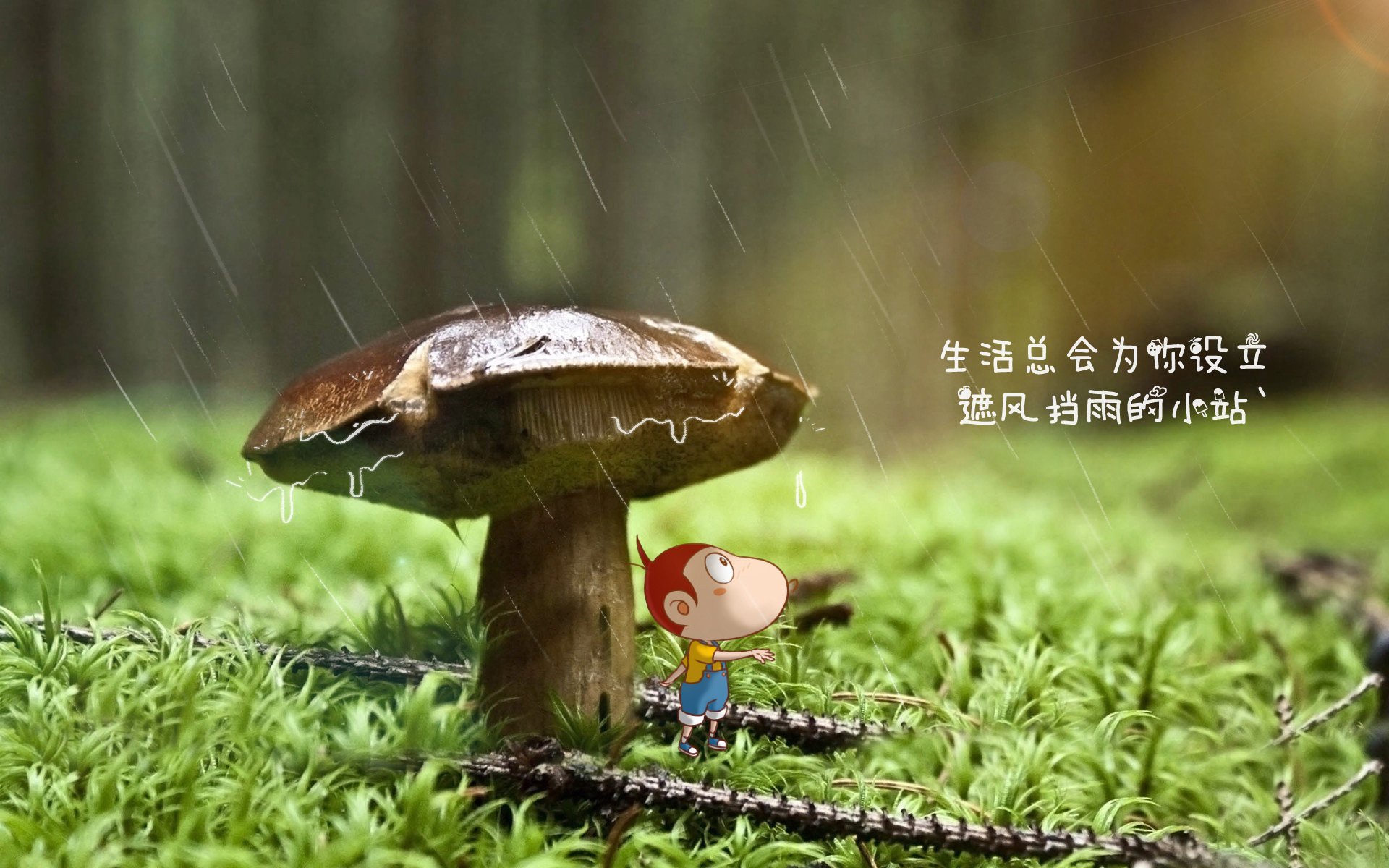 开云网页版登录入口-_鹈鹕队奋勇冲刺，季后赛希望依旧_，鹈鹕队赛程表