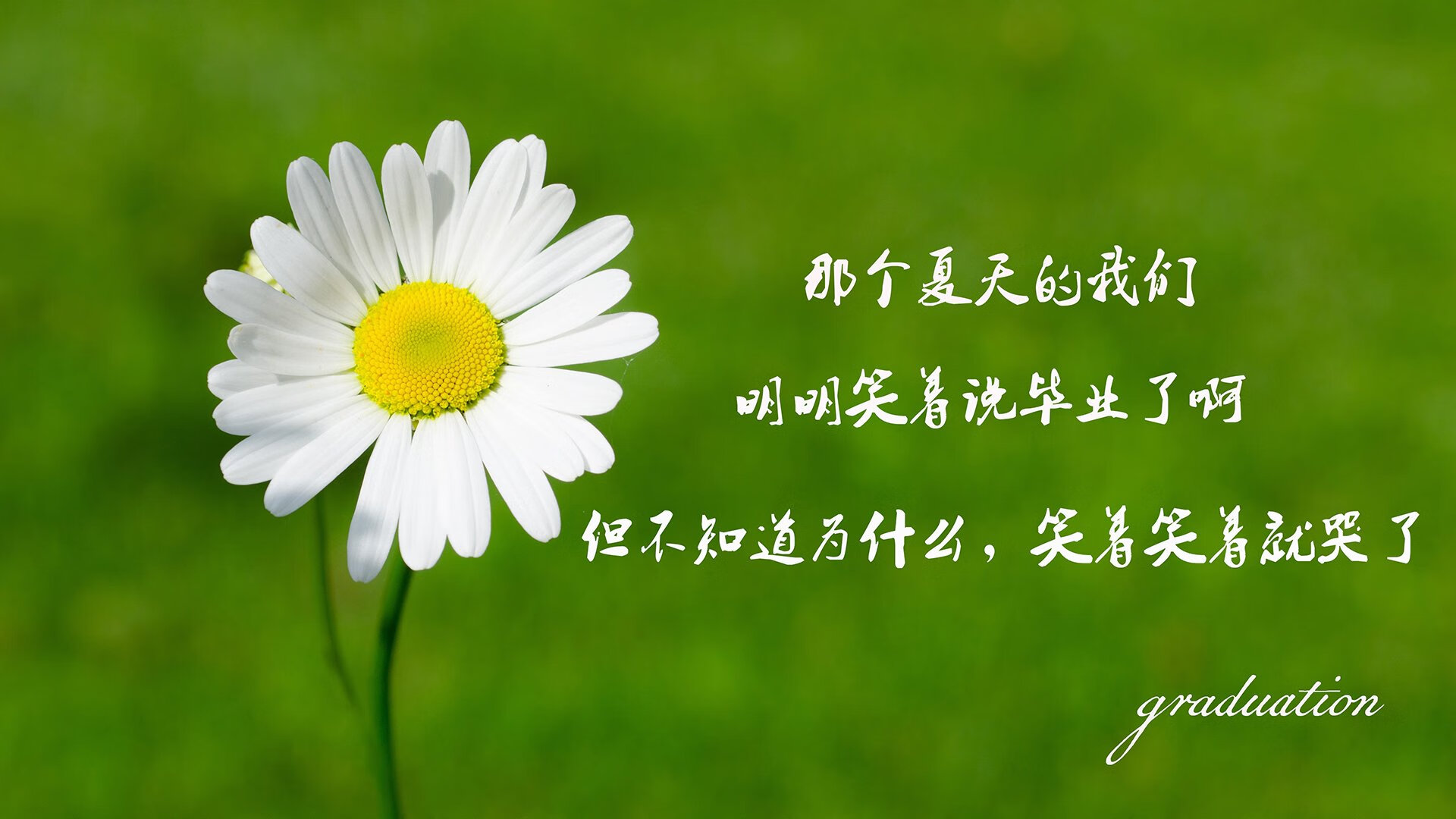 爱游戏体育APP下载-凯撒酋长锋线火力强劲，进球数领先联赛，凯撒厉害吗