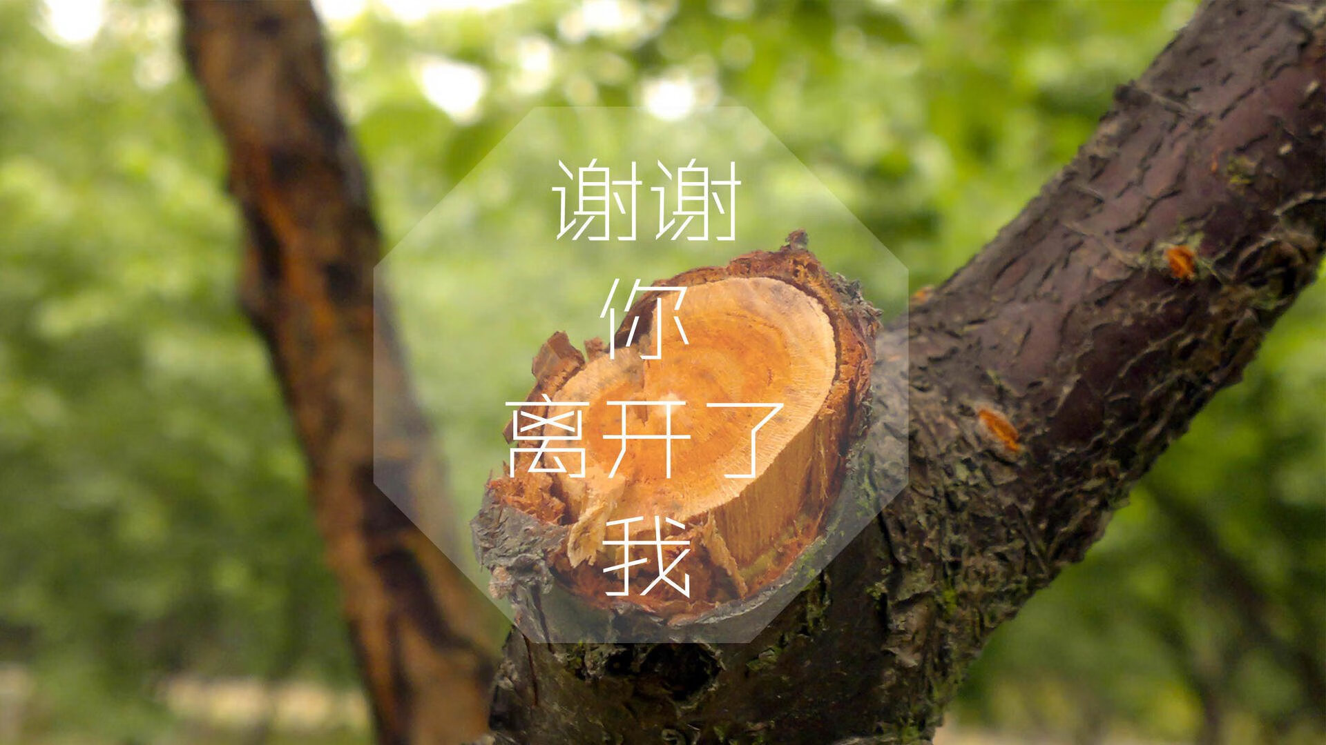 瓦拉多利德遭遇双杀，主帅下课球队重塑信心，瓦拉多利德对莱万特
