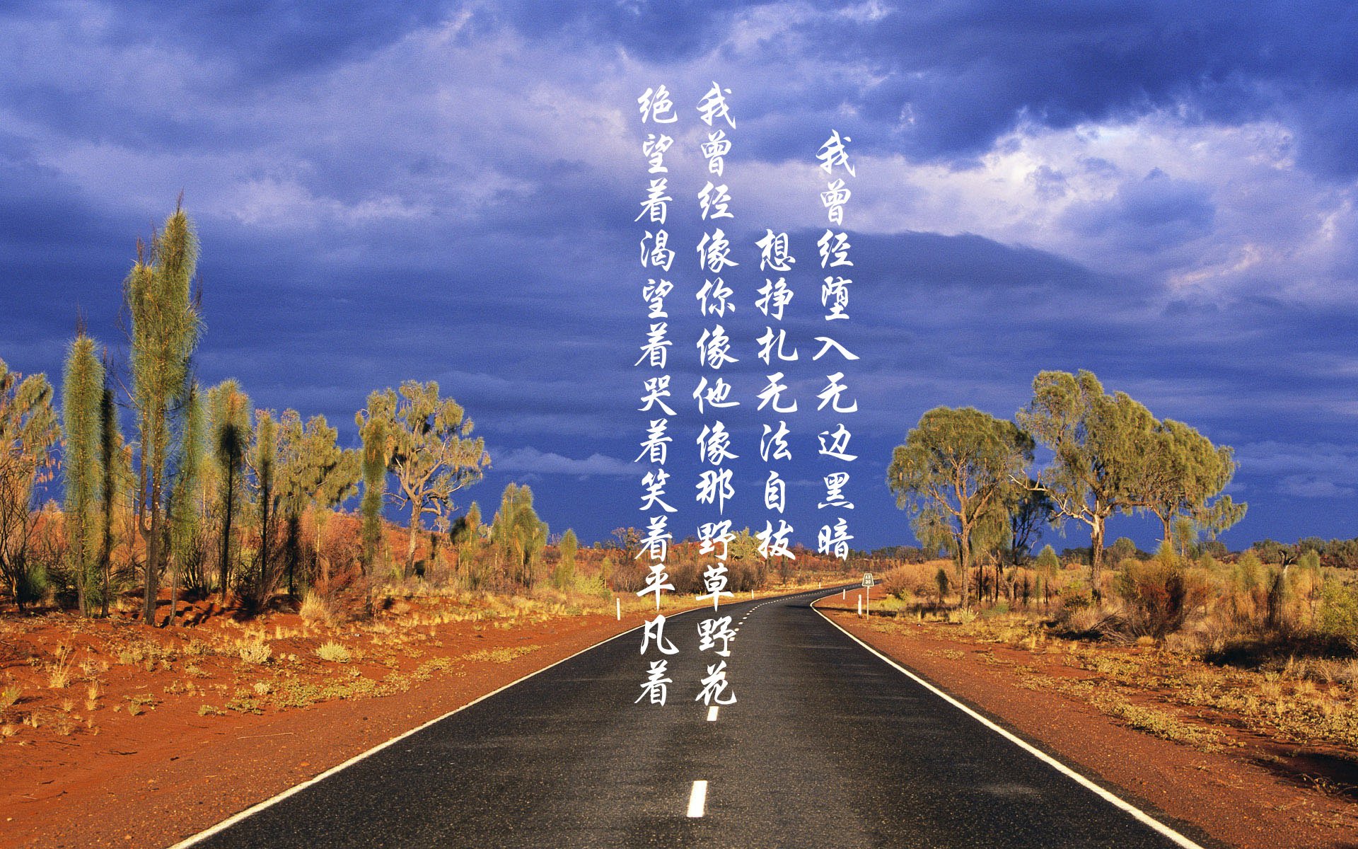 里尔再胜里昂，近期表现持续火爆，里尔对里昂的比赛分析