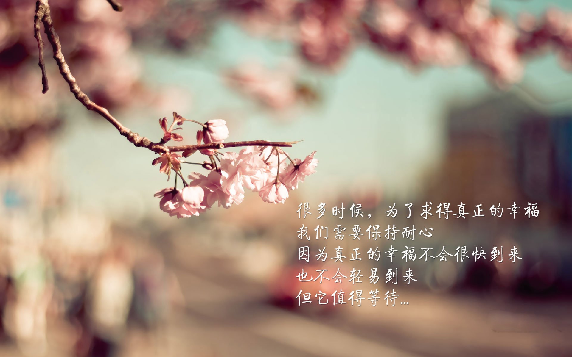 法甲球队采用个性化恢复模型优化比赛间训练安排，法甲联赛特性