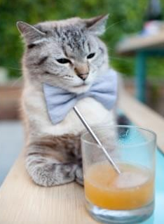 切尔西后卫防守硬朗,多次关键解围,切尔西后卫转会