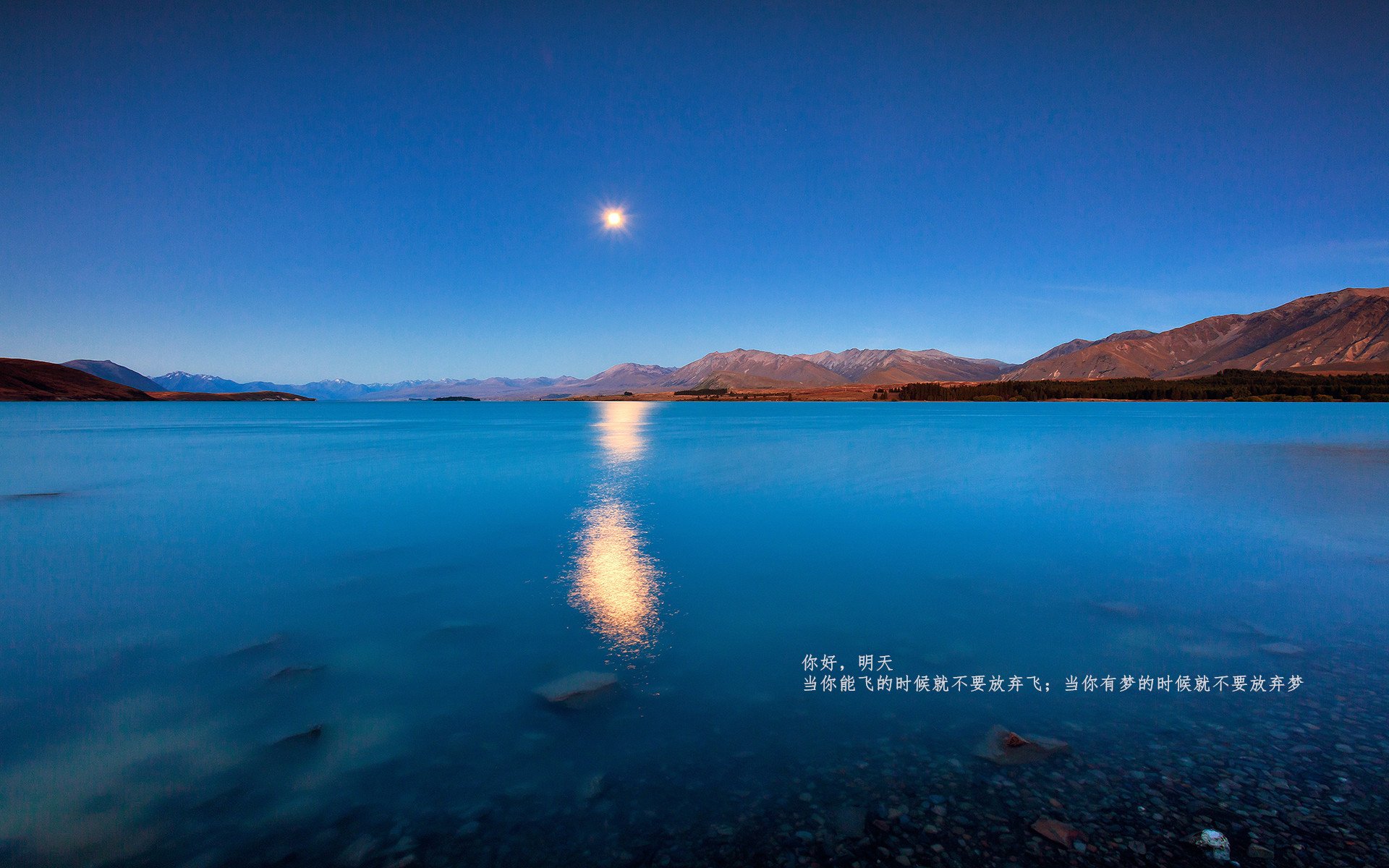 爱游戏娱乐-瑞典队战术解析：击球技巧与战术配合的无缝连接，瑞典打球