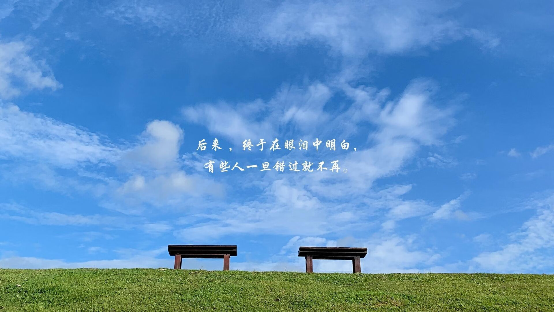 爱游戏app下载-50米蛙泳巅峰对决 覃海洋不留遗憾，游泳运动员覃海洋