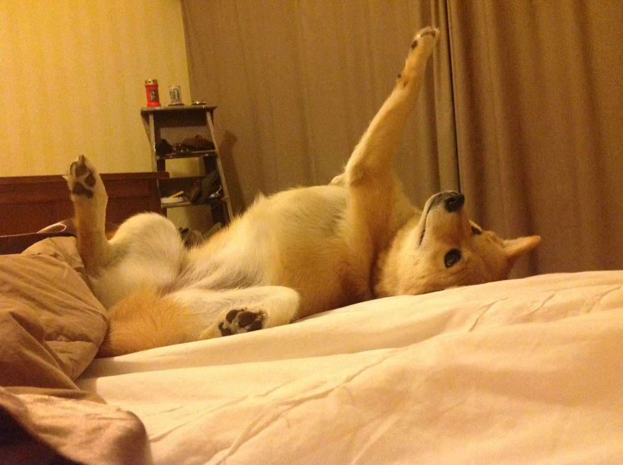 AYX体育-乌拉圭男篮在南美锦标赛中连续夺冠，体育水平节节攀升