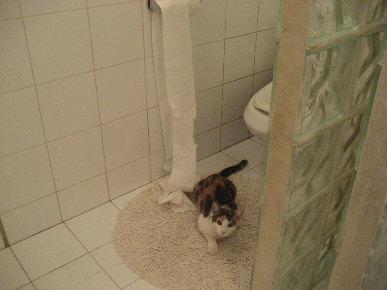 荷兰队在欧洲预赛中持续强势，欧战晋级在望