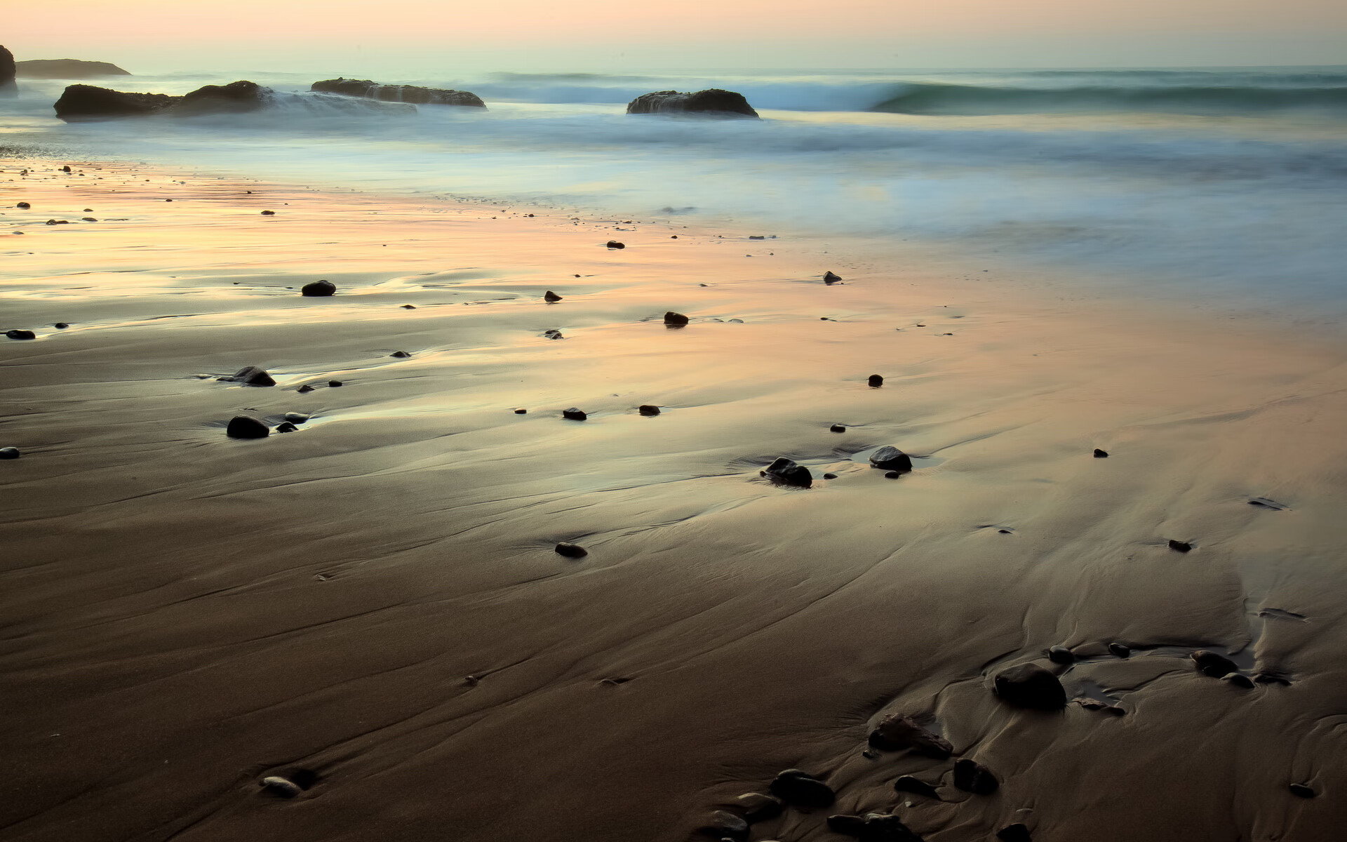 阿莱克西100米自由泳决赛精彩纷呈,阿莱克西奇