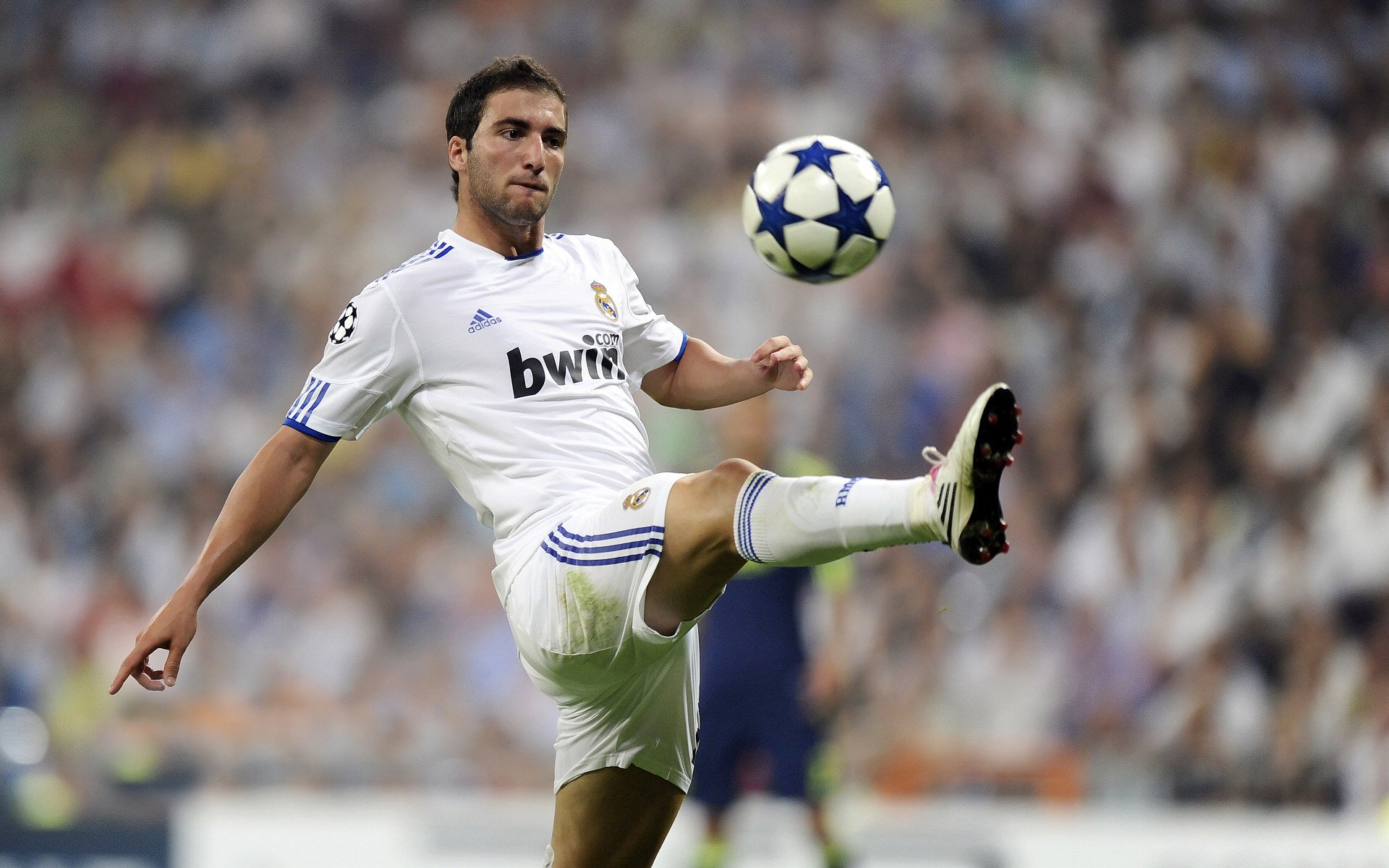 体育新闻中心开展体育内容创作职业培训项目,体育新闻中心开展体育内容创作职业培训项目有哪些